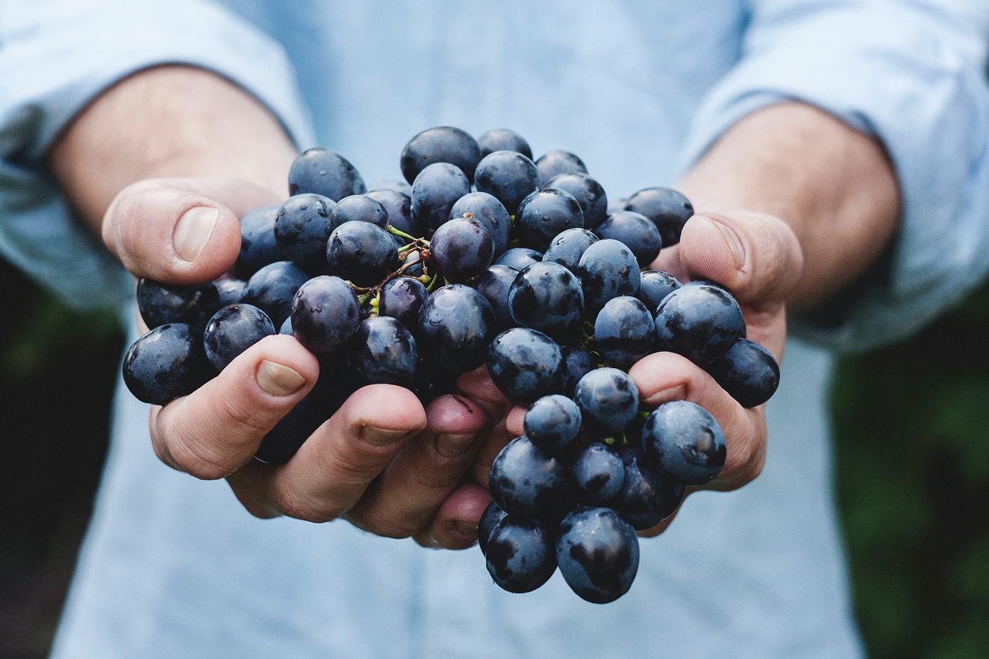 our-grapes