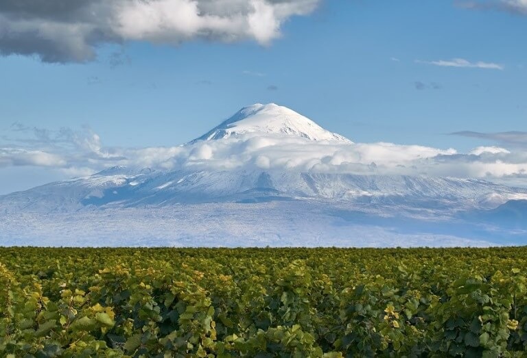 Ararat Ararat